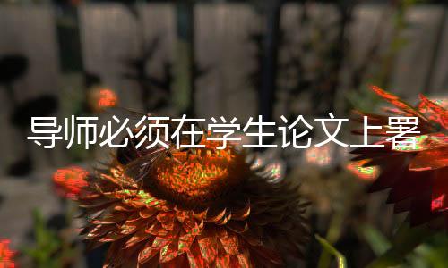 （视觉中国/图）2025年夏天