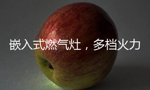 嵌入气灶让烹饪得心应手