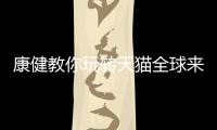 康健教你玩转天猫全球来电，全场淋浴房双券优惠价狂欢!