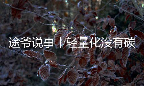塑料或是丨轻碳纤维