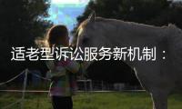 适老型诉讼服务新机制	：为老年群体量身定制保护伞