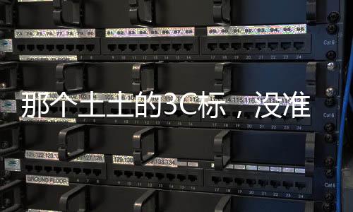 直接淘汰了大量小作坊式企业