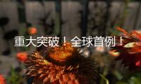 重大突破！全球首例！