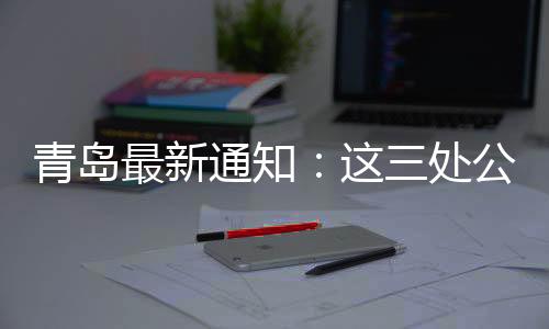 最新准一室二厅户型