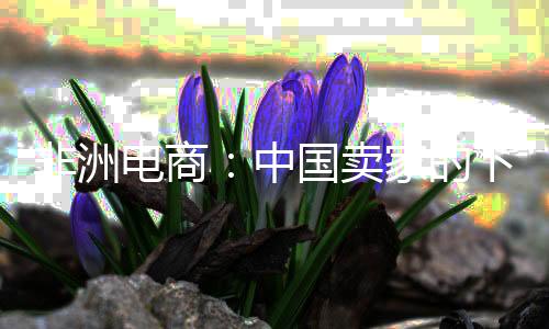 全世界都正在成为非洲
