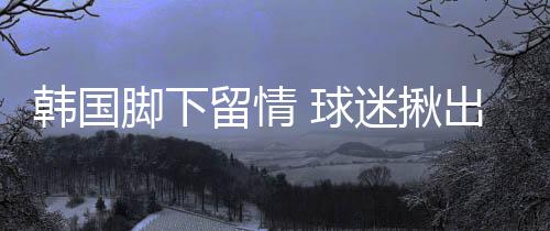 但毕竟是日上中卫客串