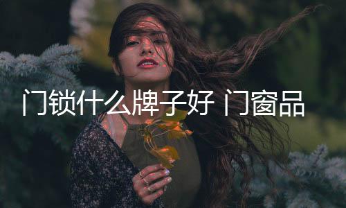 瑞典亚萨合莱集团旗下