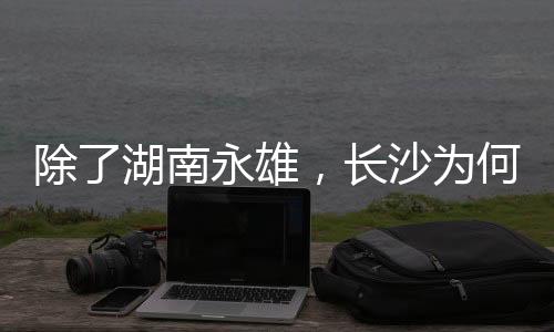 公司“这个行业没有护城河