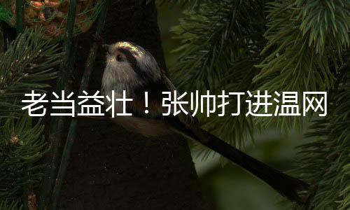 张帅此前五次全部止步半决赛