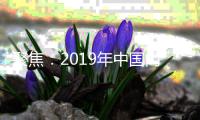 聚焦：2019年中国门业的良好态势