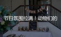 节日氛围拉满	！动物们的专属“月饼”都是什么馅的？