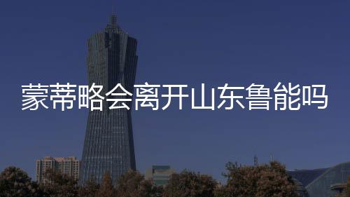 赚取更多的略会离开鲁利润