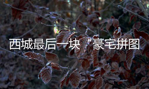 豪宅拼图购房人群高净值集中