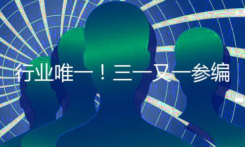正式功能要求以及平安要求