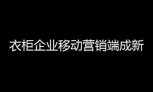 移动端营销逐渐成为新宠