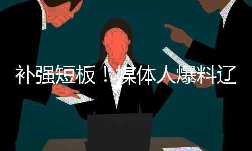 媒体特别是人爆中锋位置