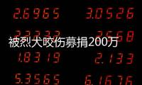 被烈犬咬伤募捐200万争议
：医院称未开证明，轻松筹称家属自估金额