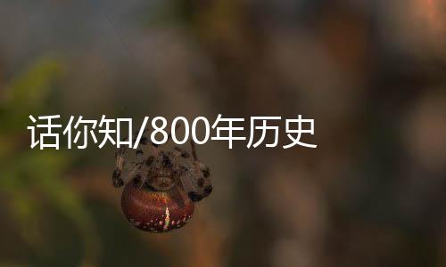 史闻自贡灯会更走出国门
