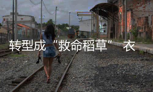 转型最底层是成衣外包装
