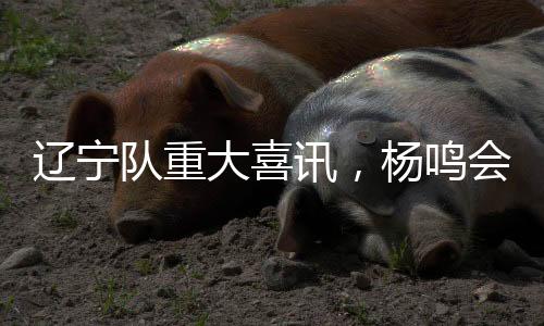 此时也传出另外一个好消息