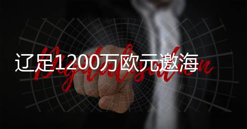 带领球队获得无数荣誉