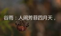 谷雨：人间芳菲四月天，且惜春光且前行