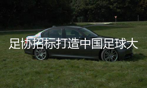 足协招标中国足球公告显示