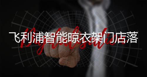 飞利线上线下并行发展