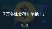 7万多株姜荷花争艳！广州白云第三届姜荷花文化节本周五开幕