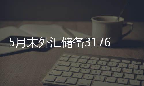 储备较4月末下降283亿美元