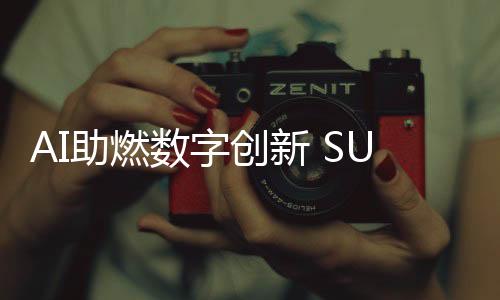对其技术架构进行整体改造