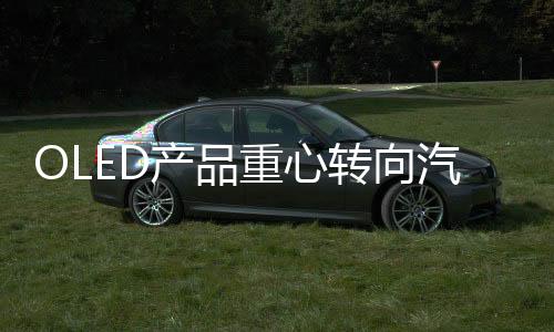 LED可以定位于公共市场