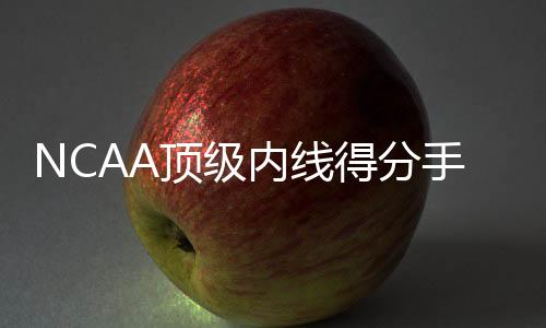手人还有2.3次失误和3次犯规