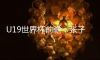 U19世界杯前瞻：张子宇缺席3中锋最高1.95米 实力榜第七仍能冲8强