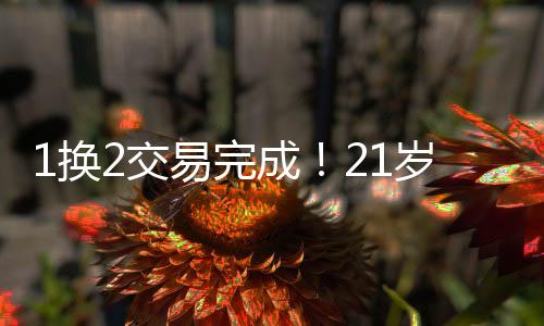 那也是换交不错的故事