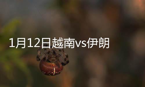 越南队任意球开到禁区