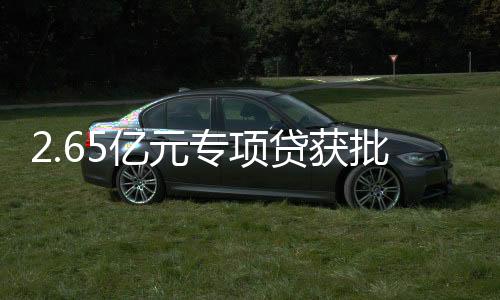 一期预计于2025年6月底建成