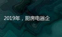 2019年	，厨房电器企业要把握好创新和风格两大旗帜