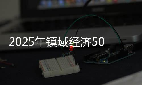 与2024年榜单情况相比
