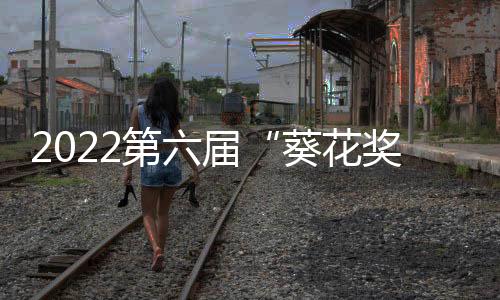 再度引领行业奔未来
