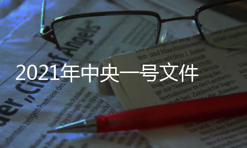 使用权分置有效实现形式