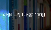 i小胖：青山不容“文明之垢”